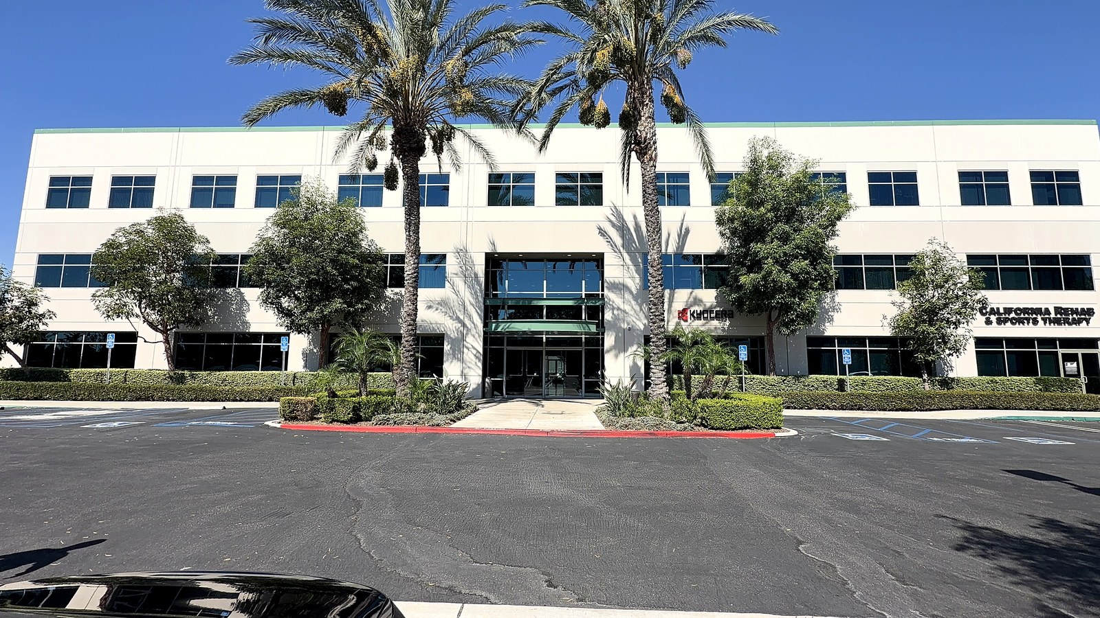 Office building with palm trees